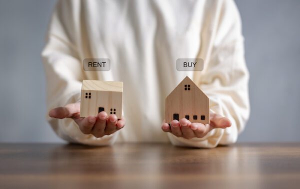 person holding miniature wooden houses in palms